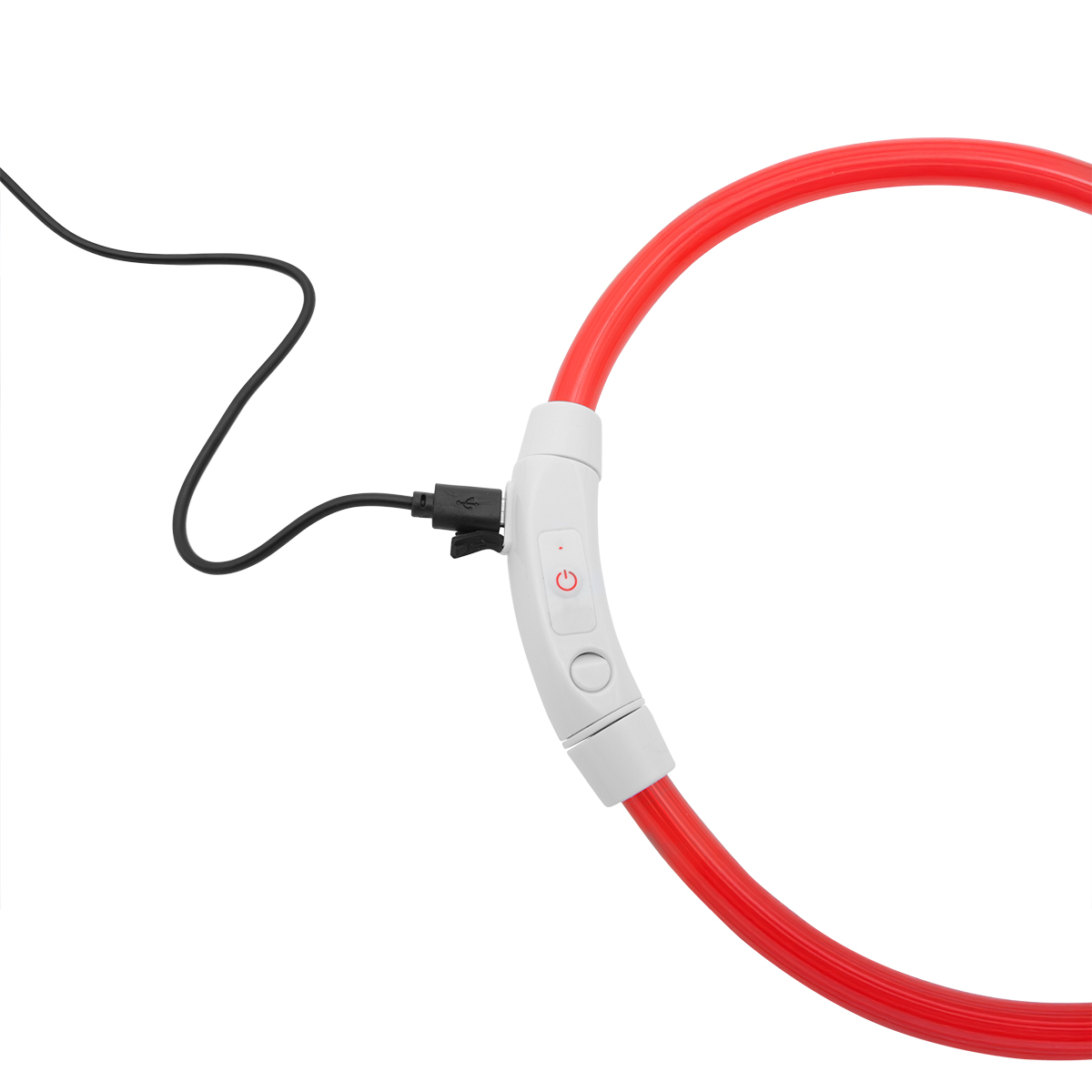LED-Hundehalsband