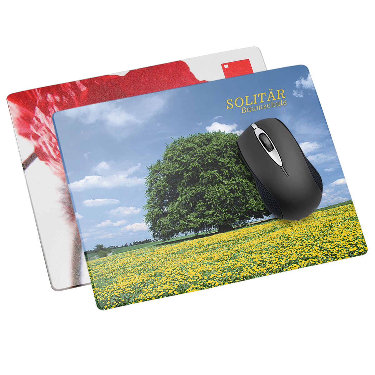 Mouse-Pad "Omega"