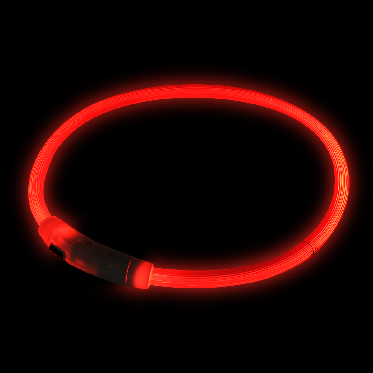 LED-Hundehalsband